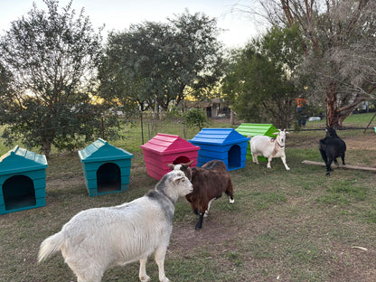 Dog Kennel