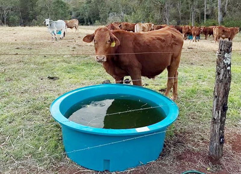 Troughs